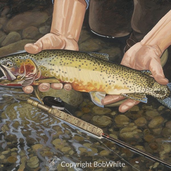 Fishing Sale