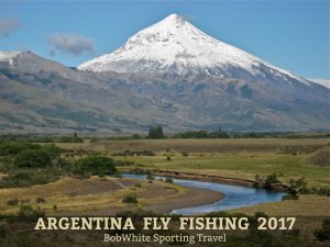 Patagonia 2017 Cover