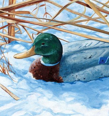 Patience Holiday Cards