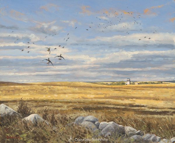 Prairie Sky