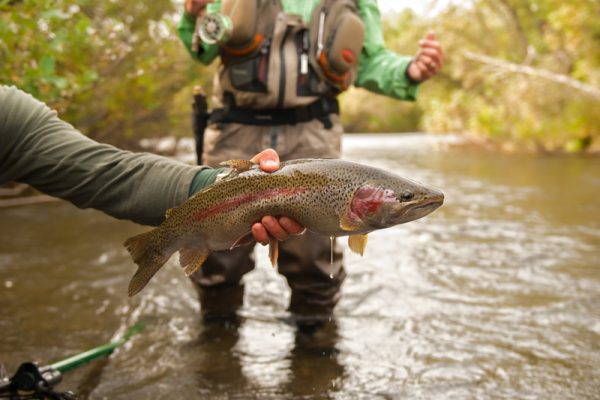 Bill 2nd rainbow on Grant