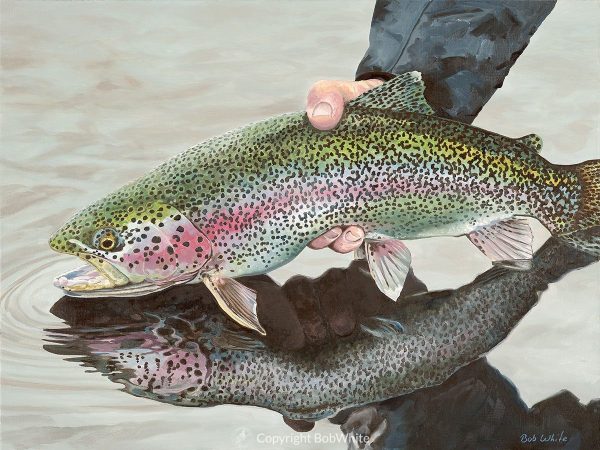 One Last Look - Rainbow Trout Print