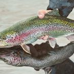 Rainbow Trout