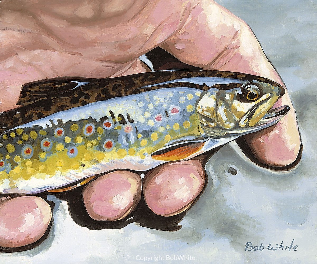 Small Fry - Brook Trout Print