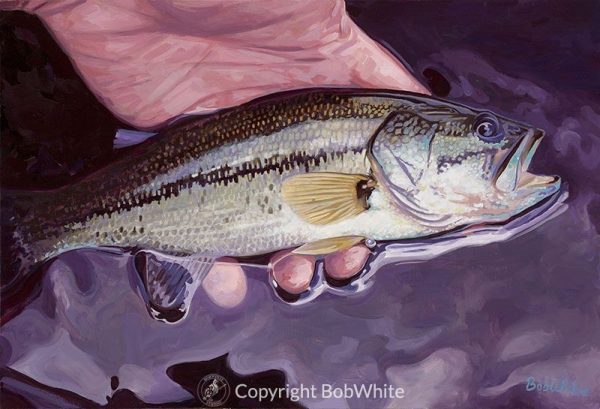 Small Fry - Largemouth Bass Print