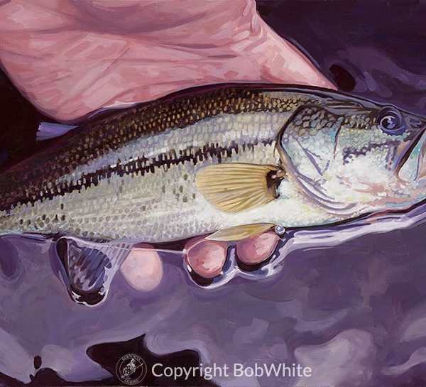 Small Fry - Largemouth Bass Print