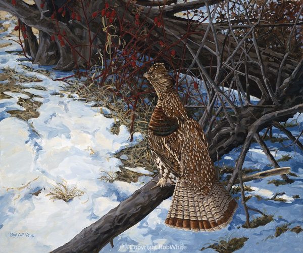 Spring Grouse Print