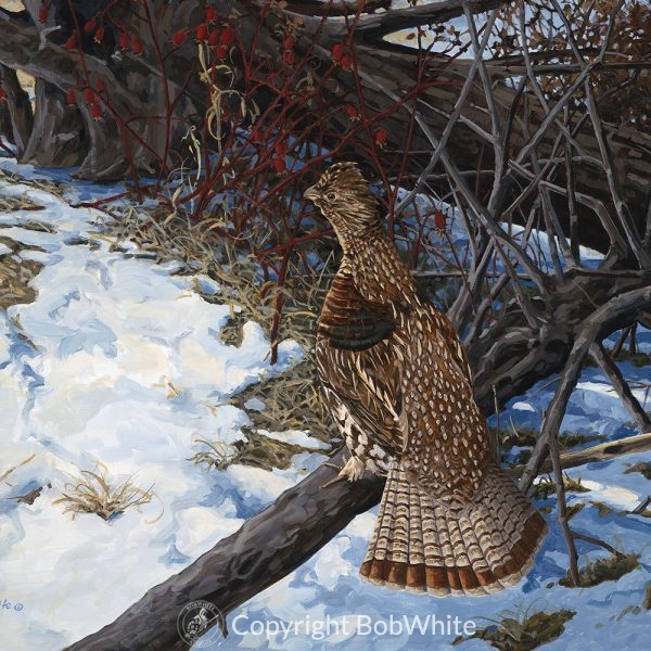Spring Grouse Print