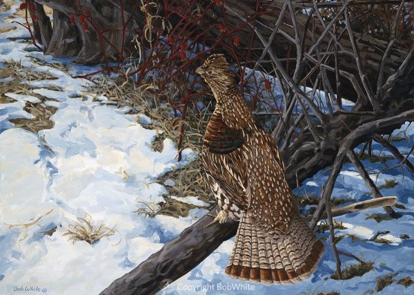 Spring Grouse Cards