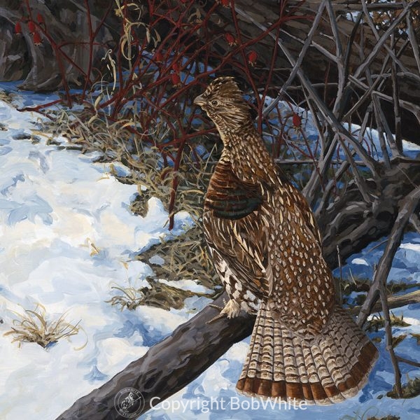 Spring Grouse Cards