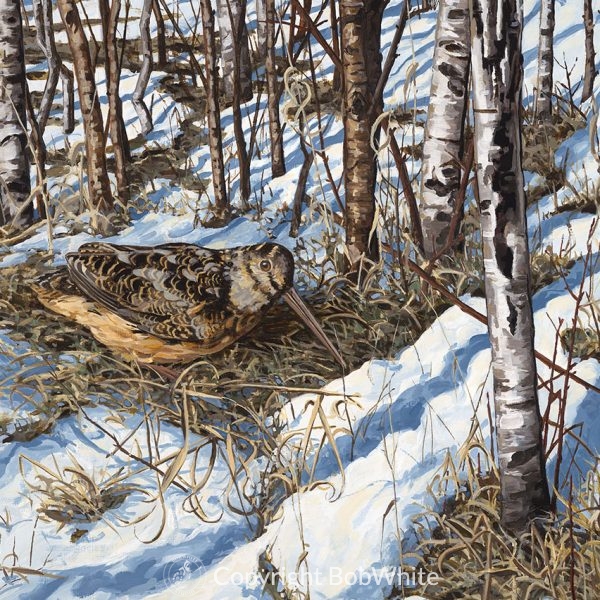 Spring Woodcock Cards