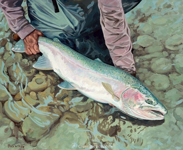 One Last Look - Steelhead Print