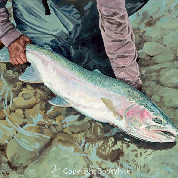 One Last Look - Steelhead Print
