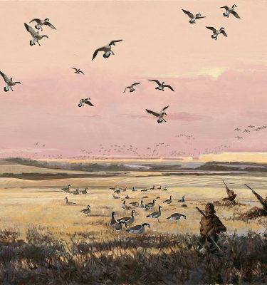 Take Em - Canada Geese Oil Painting