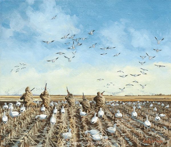 Take 'Em - Snow Geese