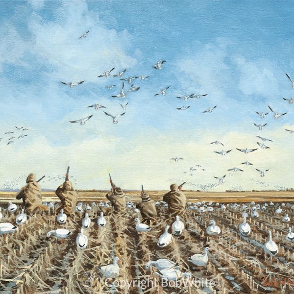 Take 'Em - Snow Geese