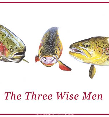 Three Wise Men Trout Holiday Cards