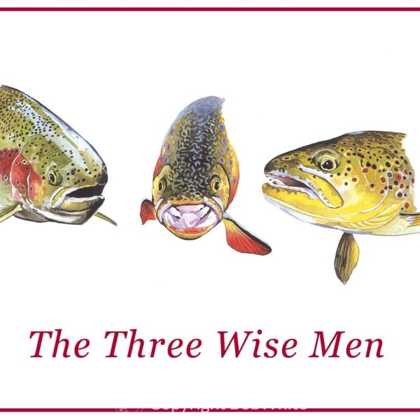 Three Wise Men Trout Holiday Cards