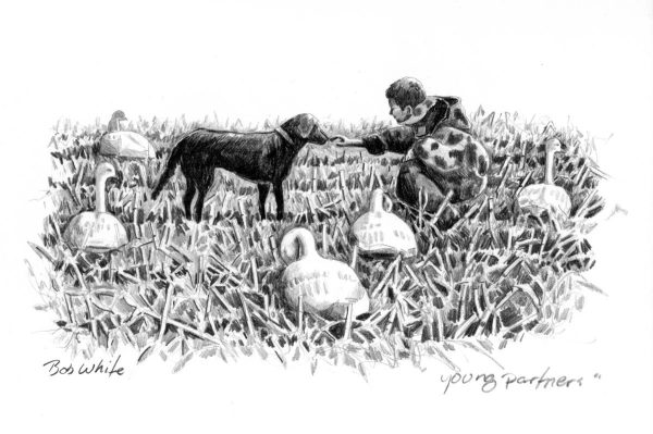 Young Partners - Pencil