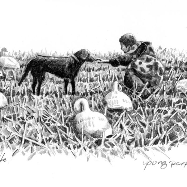 Young Partners - Pencil