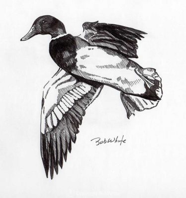 Waterfowl Hunting