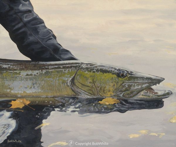 One Last Look - Musky Print