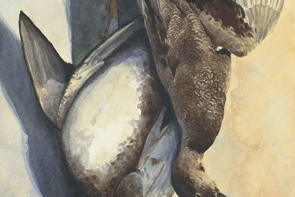 Still Life Sale