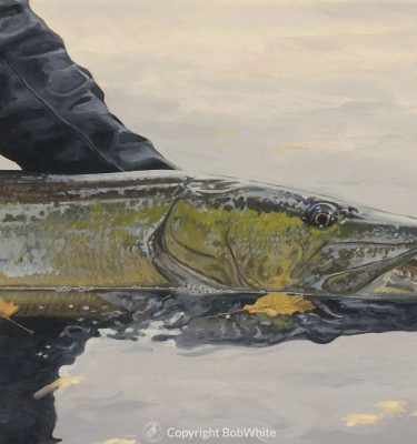 One Last Look - Musky