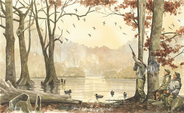 The Pintail Spot
