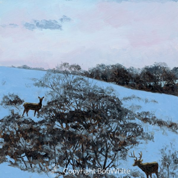 Prairie Nocturne - Plum Thicket