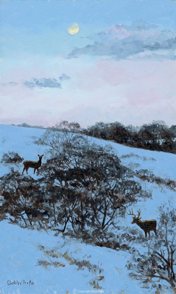 Prairie Nocturne - Plum Thicket