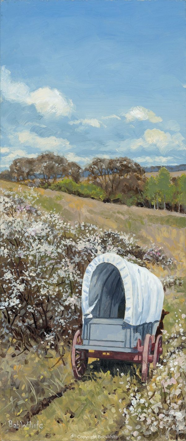 Spring Prairie Crossing - Plum Thicket
