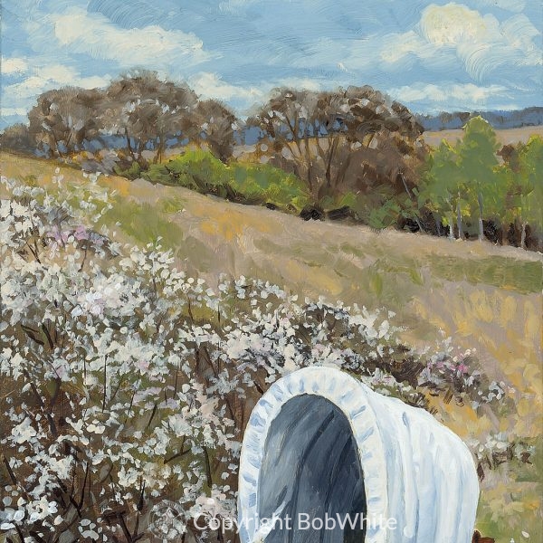 Spring Prairie Crossing - Plum Thicket