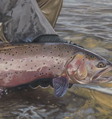 Fly Fishing Art Sale
