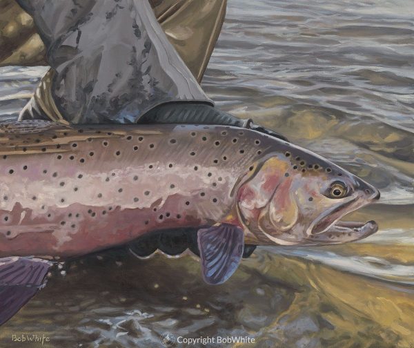 Fly Fishing Art Sale