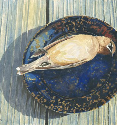 Shadow of the Waxwing Slain II