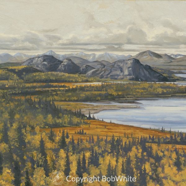 Alaska Sale