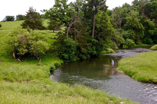 MN Driftless 14