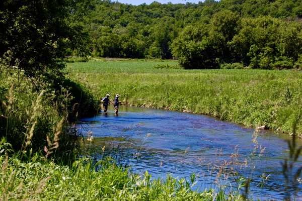 MN Driftless 17