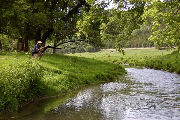 MN Driftless 20