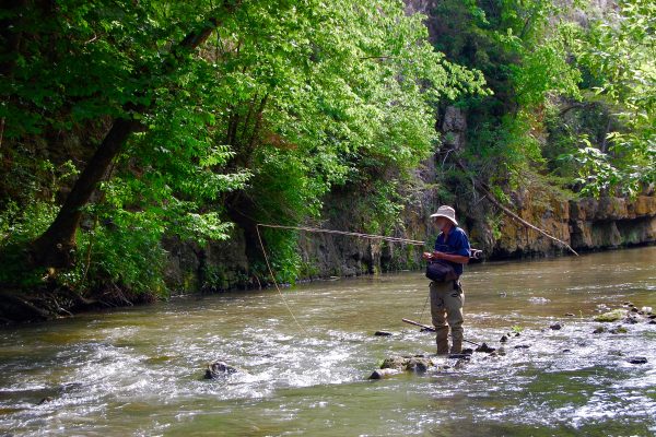 MN Driftless 27