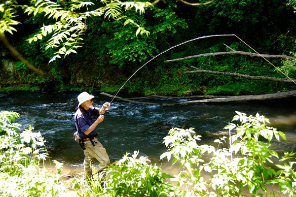 MN Driftless 29