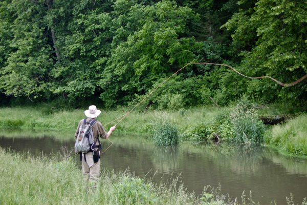 MN Driftless 3