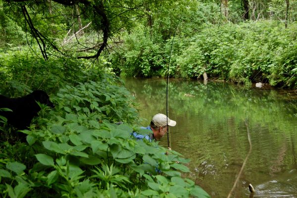 MN Driftless 4