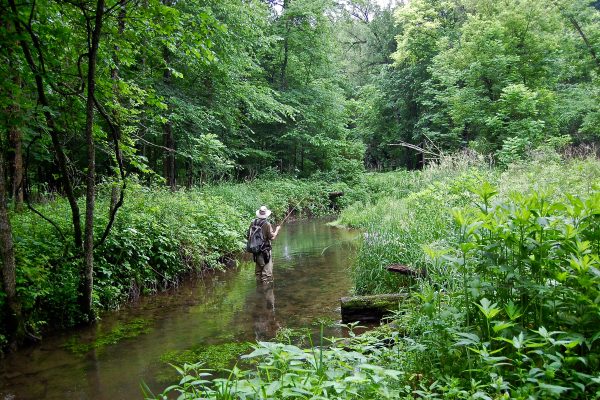 MN Driftless 5