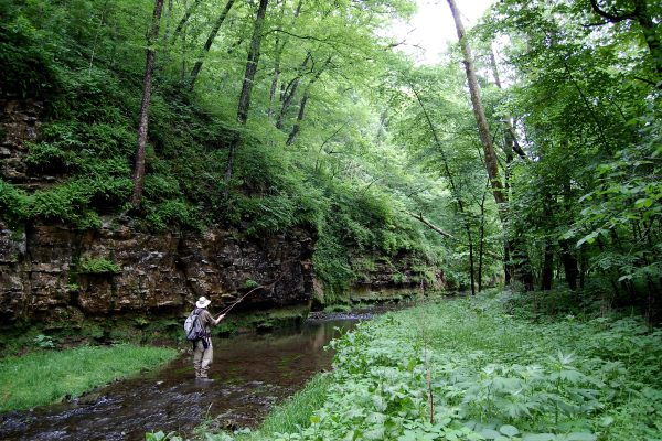 MN Driftless 6