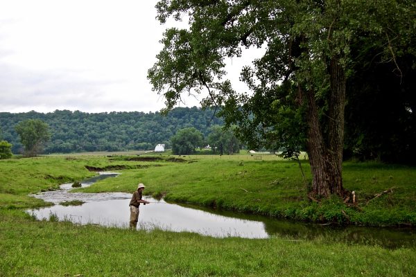 MN Driftless 9