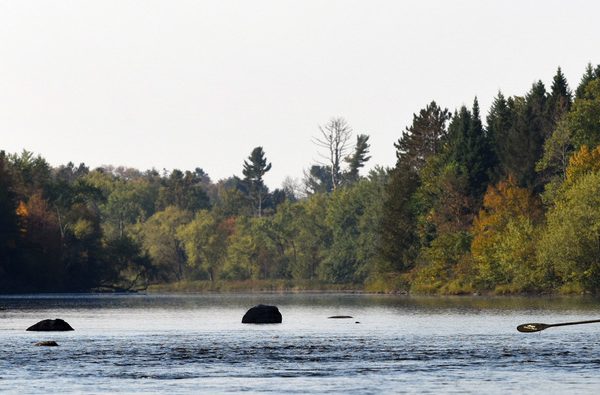 Musky Fly Fishing Wisconsin