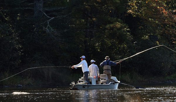 Musky Fly Fishing Wisconsin