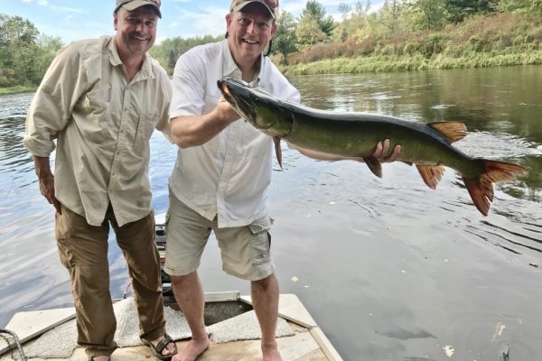 Musky Fly Fishing Wisconsin